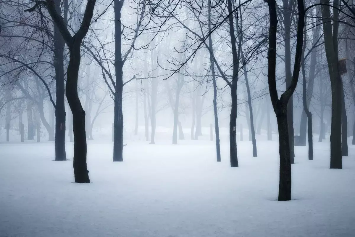 Туман и гололед: штормовое предупреждение объявили в 14 регионах Казахстана