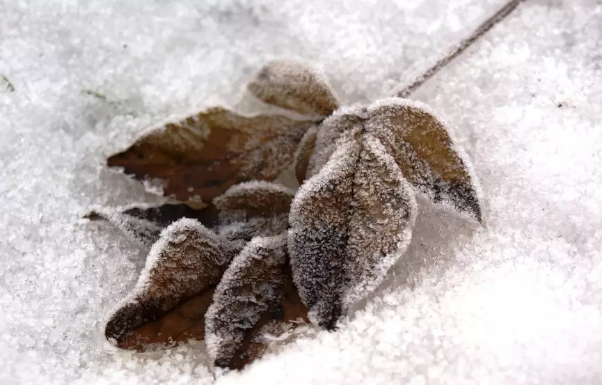 Штормовые предупреждения на четверг объявлены в 14 областях Казахстана