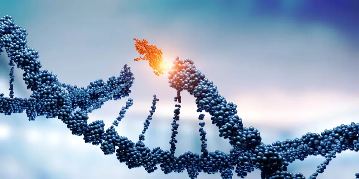 Можно ли жить дольше с помощью генетики?