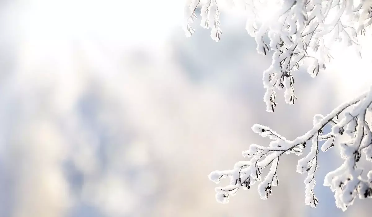 Кей өңірлерде қар, жаңбыр жауады: елімізде 4 желтоқсанда ауа райы қандай болады