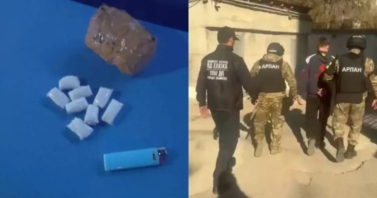  Шымкентте екі шетел азаматы заңсыз әрекеті үшін ұсталды 