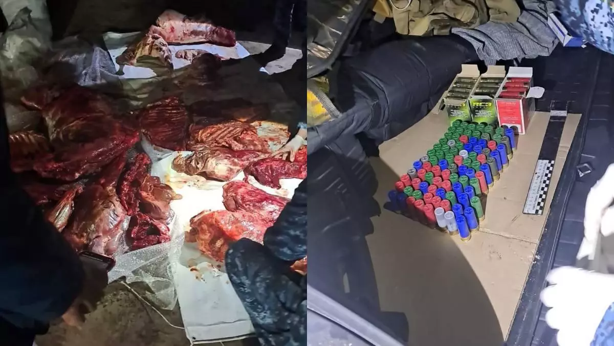 Подозреваемые в браконьерстве задержаны в Павлодарской области