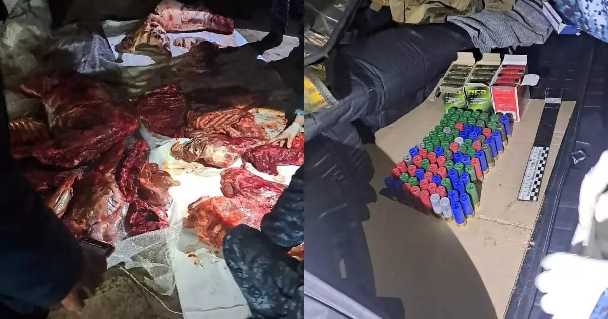  Павлодар облысында заңсыз аңшылықпен айналысқандар ұсталды 