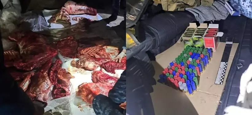 Факт незаконной охоты пресекли в Павлодарской области