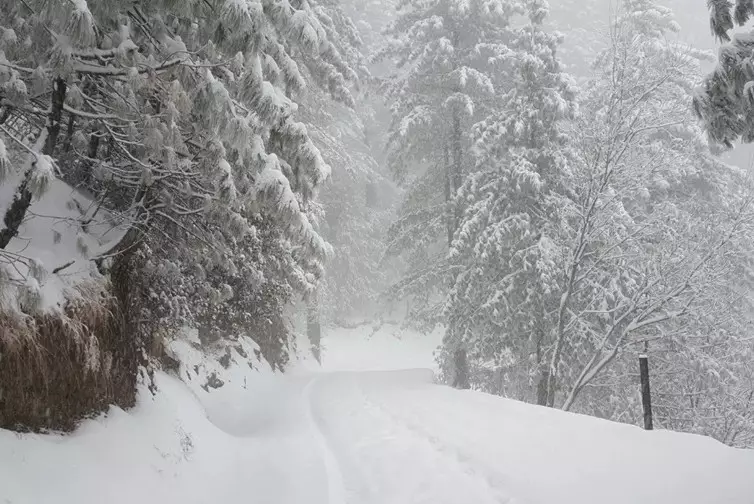 Непогода накрыла регионы Казахстана