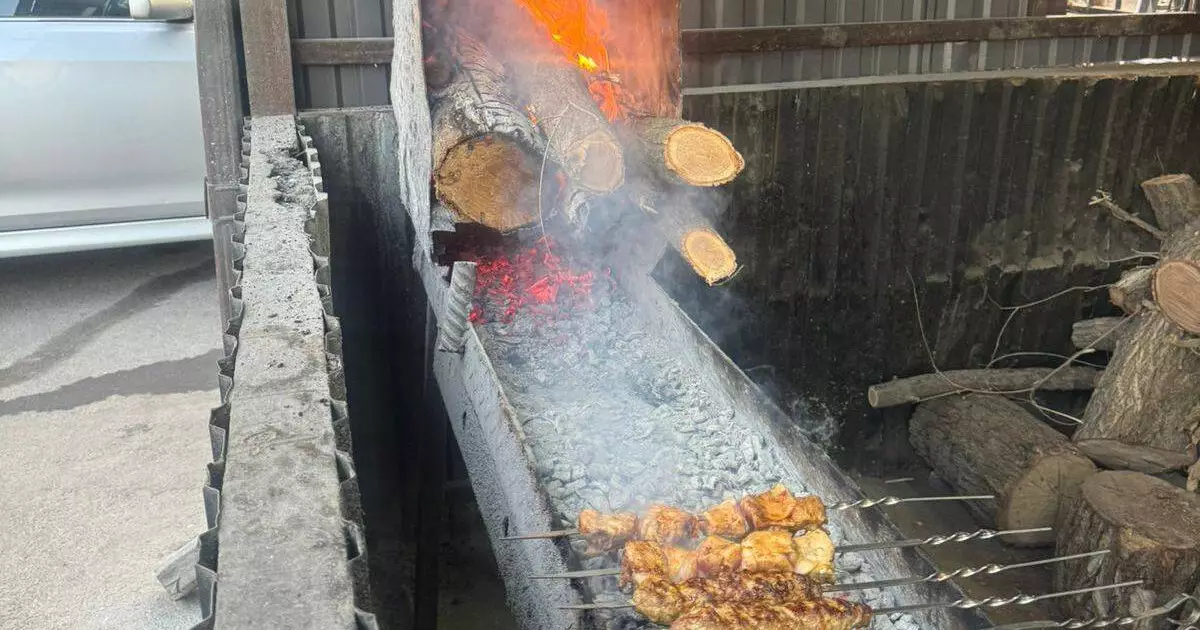  Алматыда қатты отын қолданатын кәуапханаларға бақылау күшейтілді 