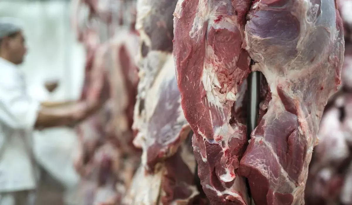 Казахстан установил квоты на экспорт говядины до конца 2025 года