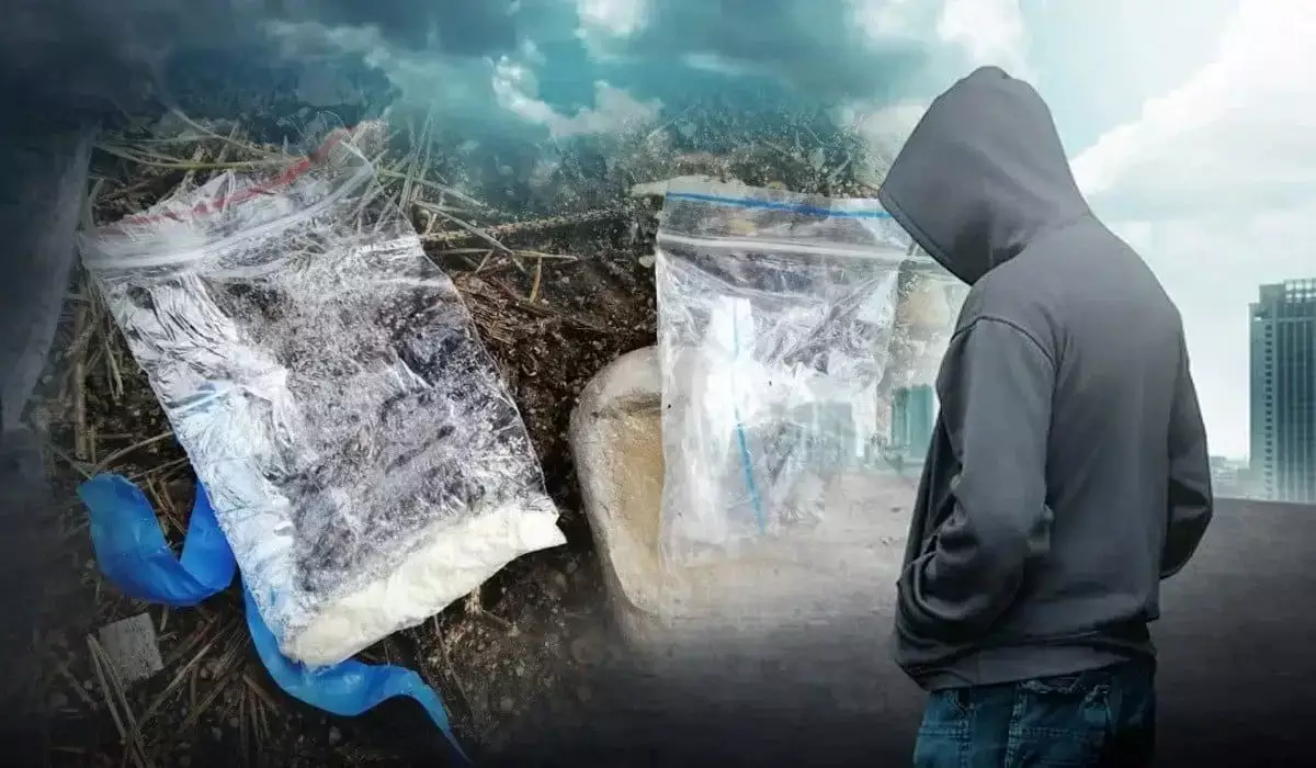 Преступные сети Kaef Mafia и Dune-Operator остановлены в Казахстане