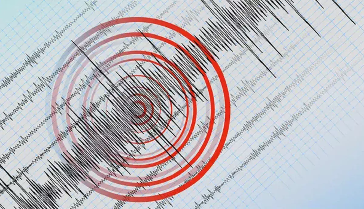 Алматыдағы жер сілкінісіне қатысты қосымша ақпарат жарияланды