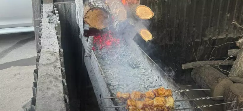 Использующие твердое топливо "шашлычки" выявляют в Алматы