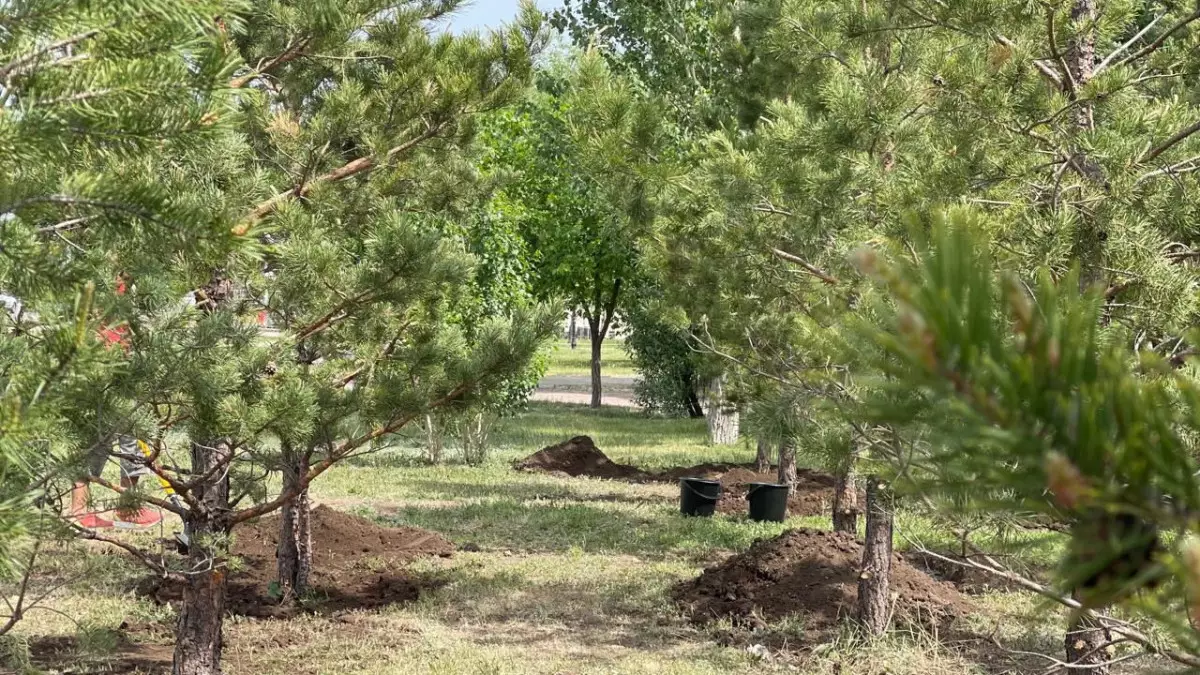 Президенттің 2 млрд ағаш отырғызу тапсырмасы 2027 жылға дейін орындалады – министр