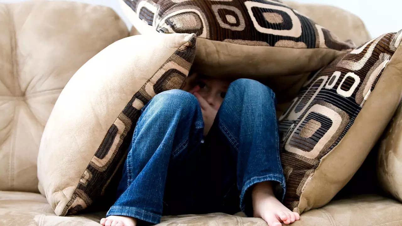 Қатты сезілген: Алматыда жер сілкінді 