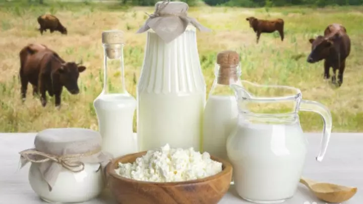 Бибігүл Жексенбай мал шаруашылығы өнімдерінің қауіпсіздігіне алаңдайтынын айтты