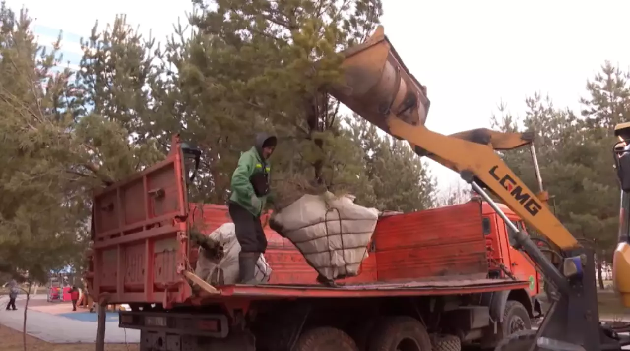 «Таза Казакстан»: 1 250 экологических акций провели в Казахстане