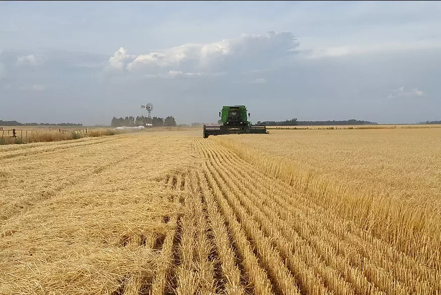 Сенатор поставила под сомнение эффективность программы "Ауыл – Ел бесігі"