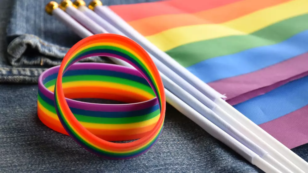 Запрещающий пропаганду ЛГБТ в Казахстане закон рассмотрят до конца года - Сенат