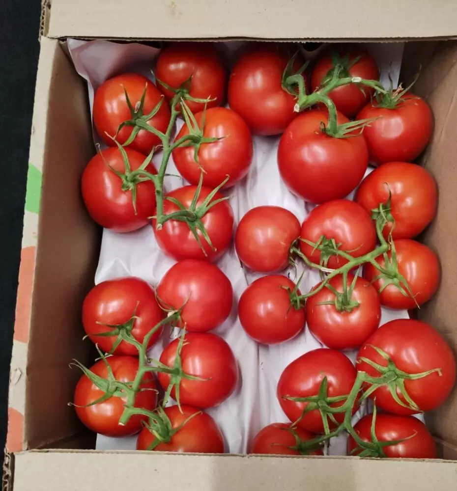 Овощи из Казахстана пополнили запасы магазинов Кузбасса.