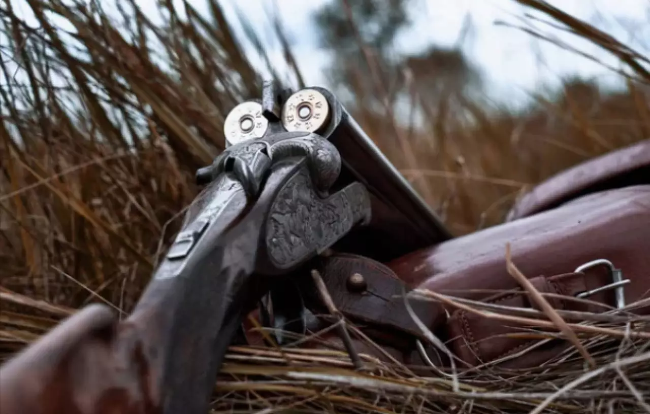 Браконьеров задержали в Павлодарской области