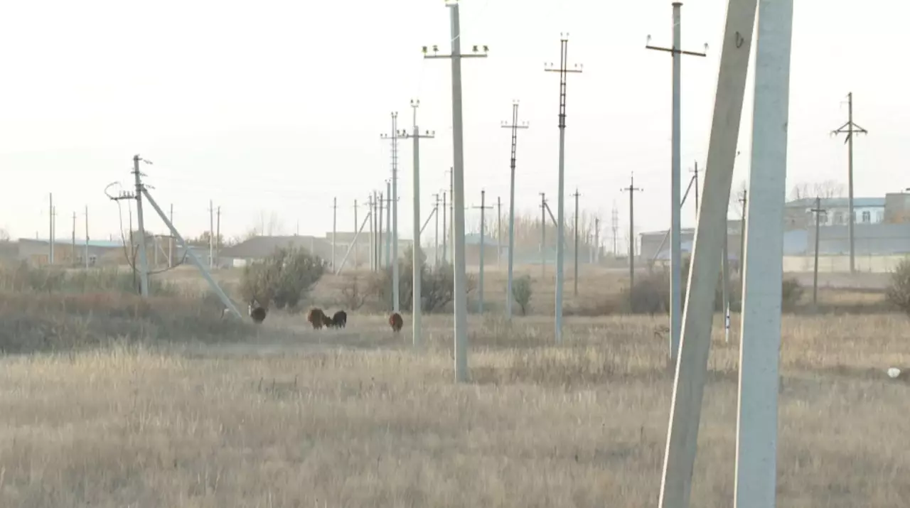 Биыл елде сегіз жылда алғаш рет қыс қарсыз басталды