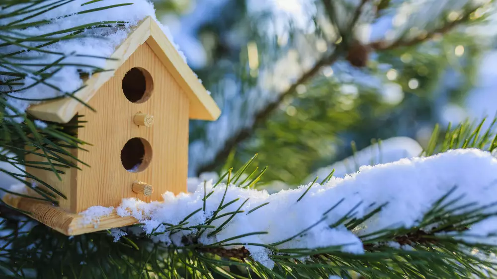 Астана под снегом, Алматы ждёт похолодание: прогноз на 3 дня