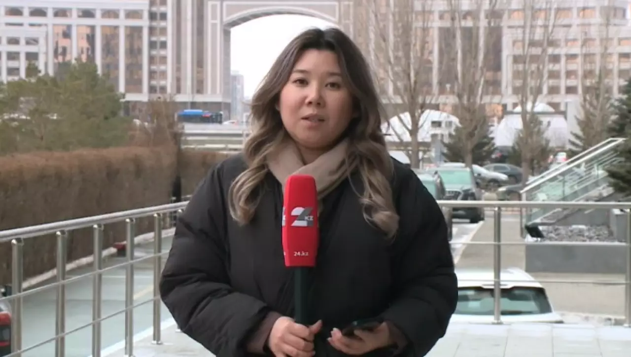 Эту зиму казахстанцы встретили без снега