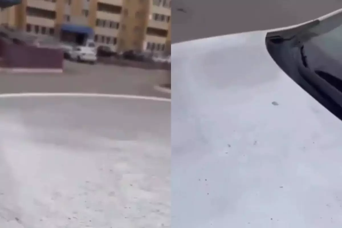 Семейдің Қарағайлысы қара күйеге көміліп қалды - тұрғындар ашулы