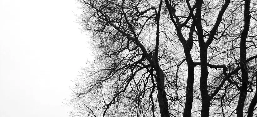 Штормовое предупреждение объявили в нескольких областях Казахстана