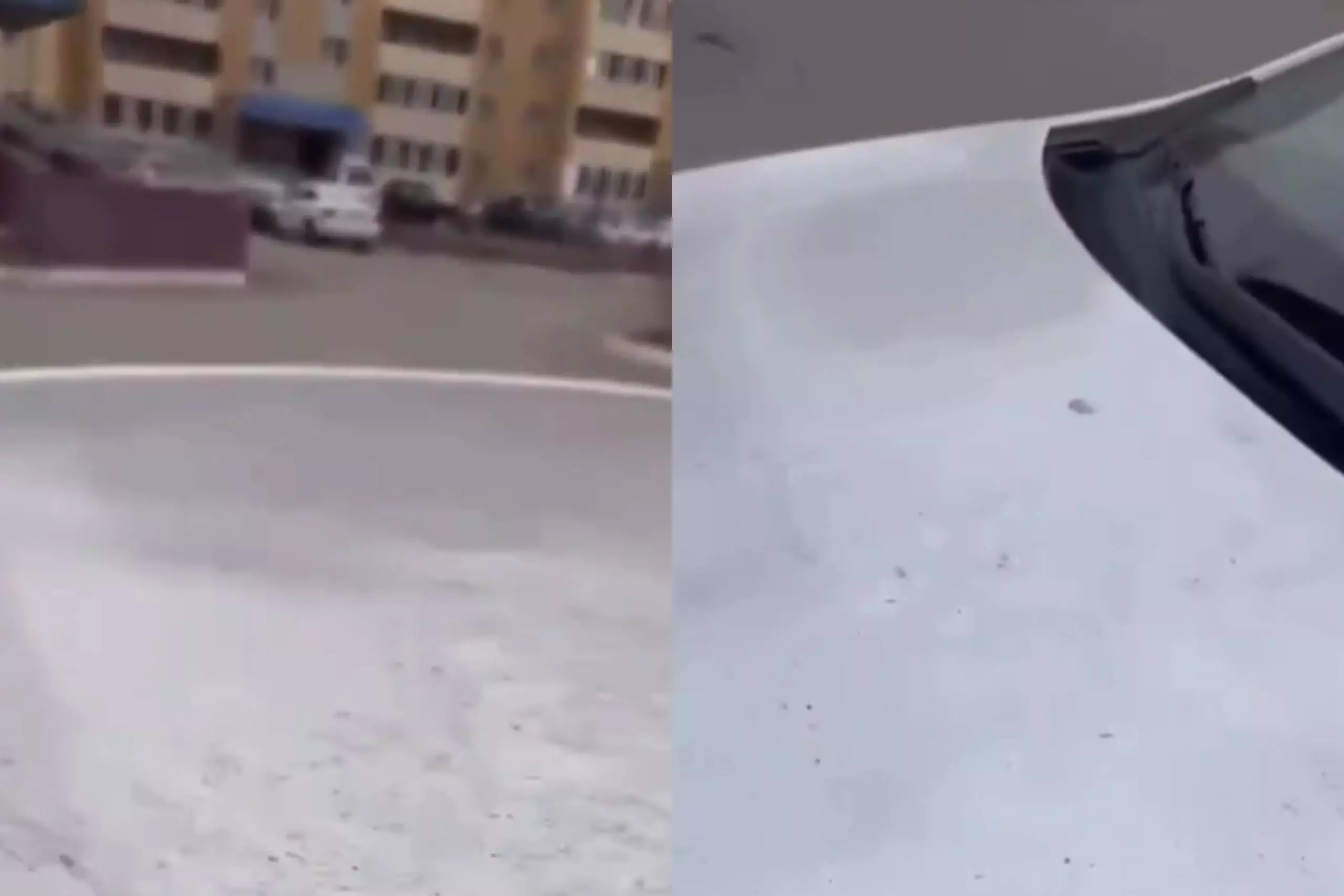 Семейдің Қарағайлысы қара күйеге көміліп қалды &#8212; тұрғындар ашулы