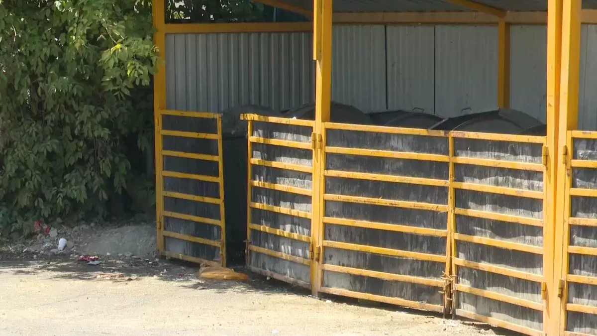 Әйелді өлтіріп, денесін қоқысқа тастаған: Шымкентте оқушы сотталды