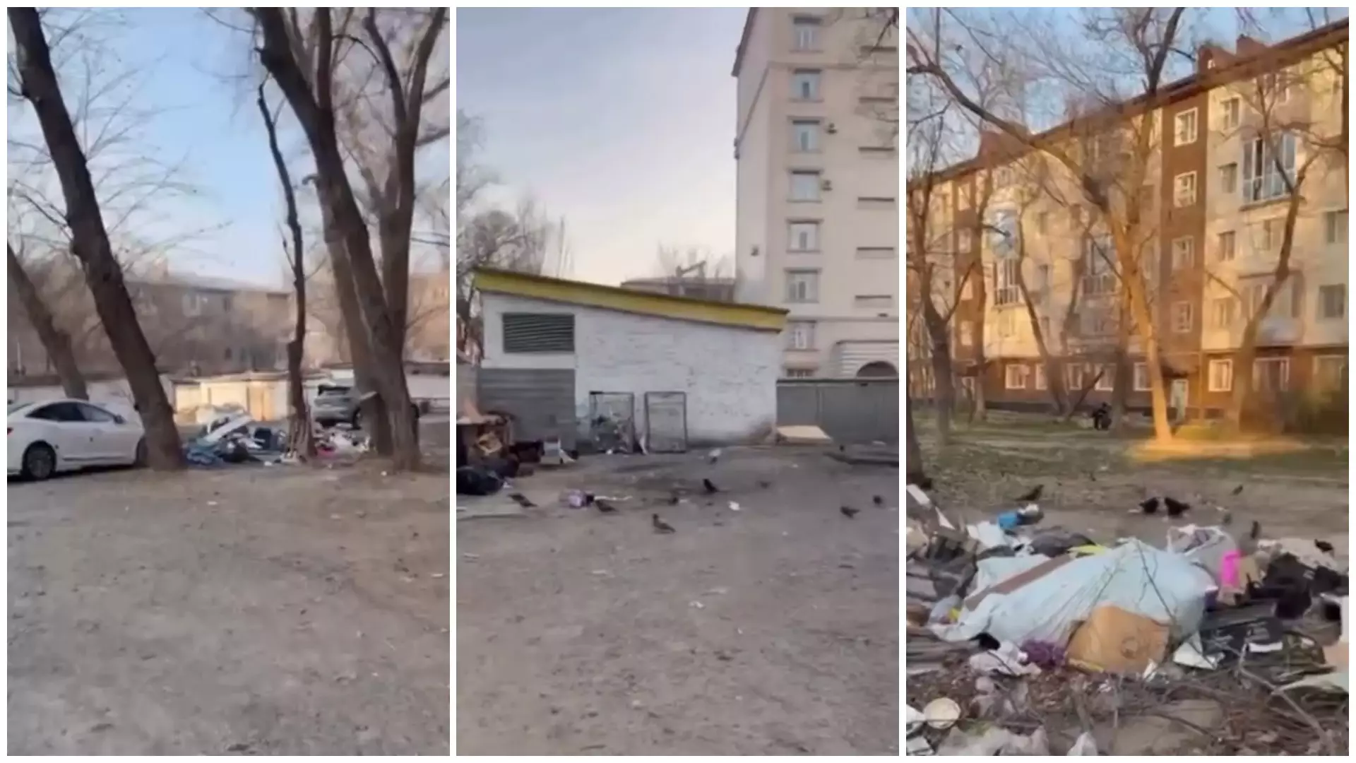 Тараздың қақ ортасы қоқысқа толды – әкімдік жылдар бойы көрмегендей отыр