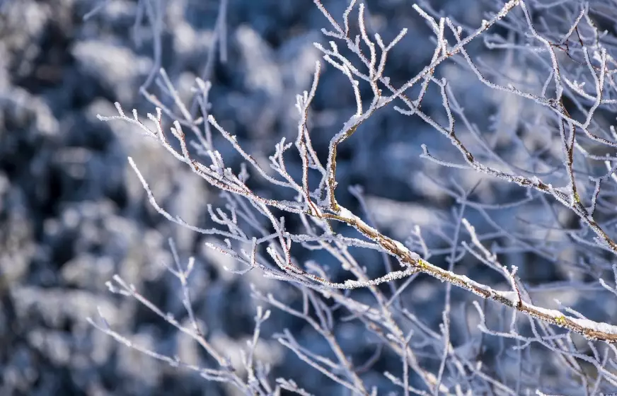 Штормовые предупреждения на пятницу объявлены почти по всему Казахстану