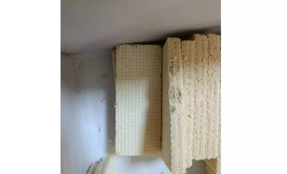 «Что-то шевелится»: детям подали вафли с червями в одной из школ Костаная