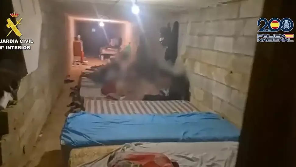 Испания полициясы фермаларда құлдыққа түскен 300-ден астам шетелдікті босатты