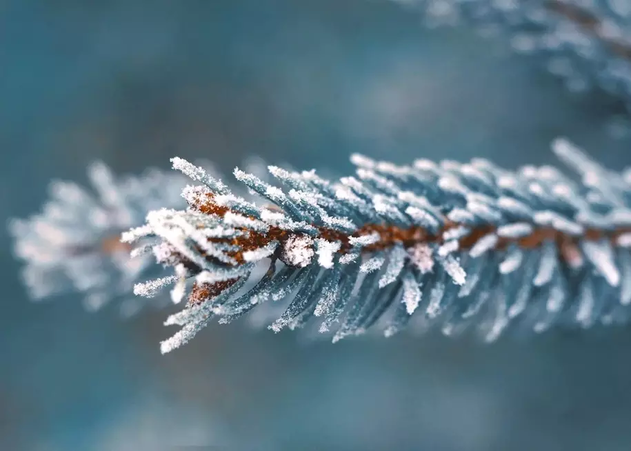 Снег ожидается в пятницу в Астане, в Шымкенте дождь, в Алматы без осадков
