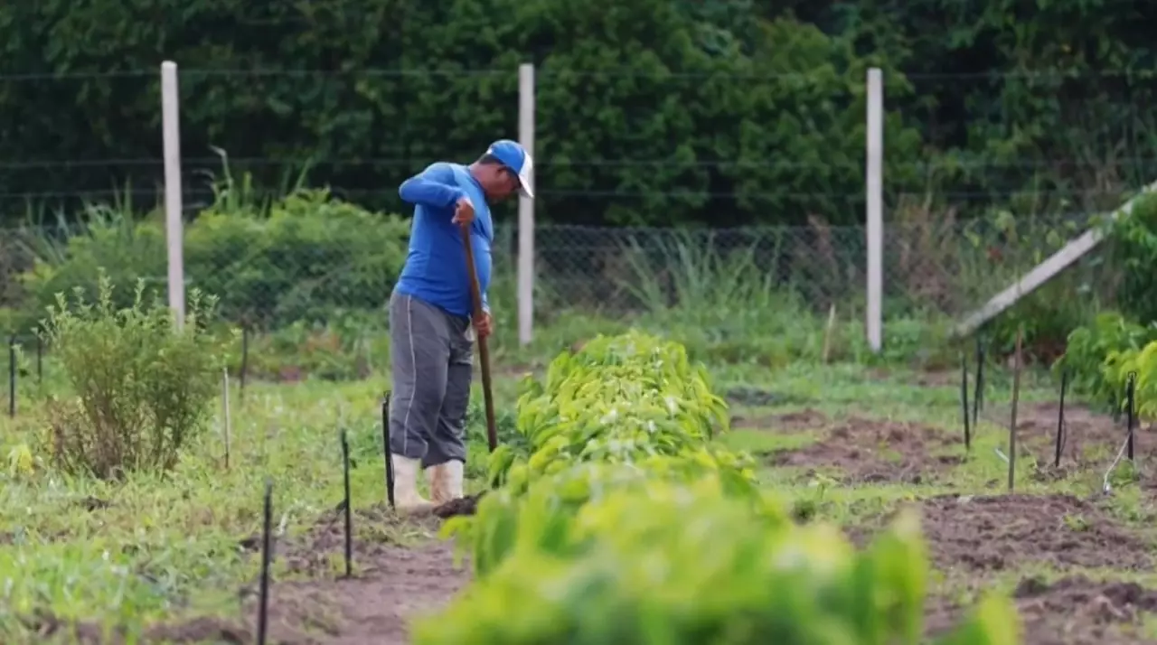 Как изменение климата влияет на сельское хозяйство