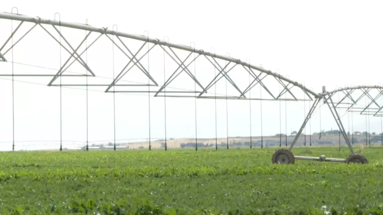 Фермеры Жамбылской области увеличивают применение капельного орошения