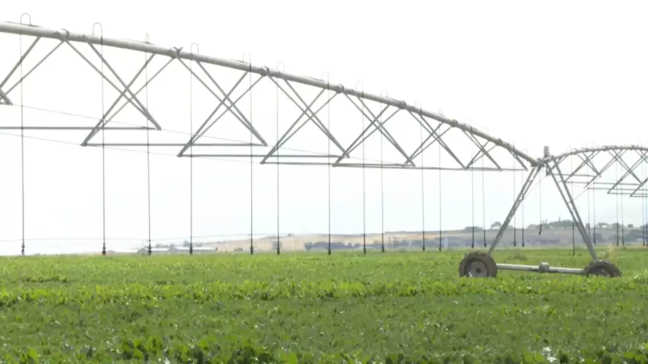 Жамбыл диқандары 66 500 га жерге су үнемдеу технологиясын енгізді