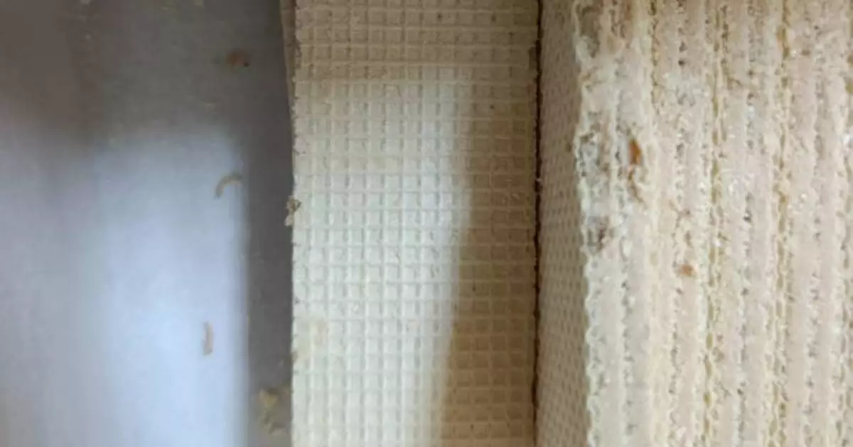  Қостанайдағы орталықта балаларға құрт шыққан вафли берілген 