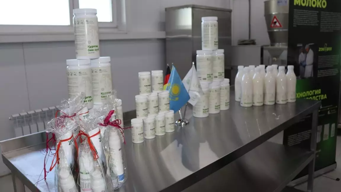 СҚО-да сублимацияланған бие сүтін өндіретін зауыт іске қосылды