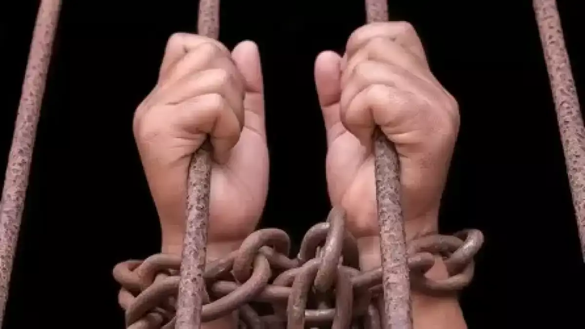 Жамбылда өгей әкесінің құлдығына ұшыраған балалар ісі бойынша үкім шықты