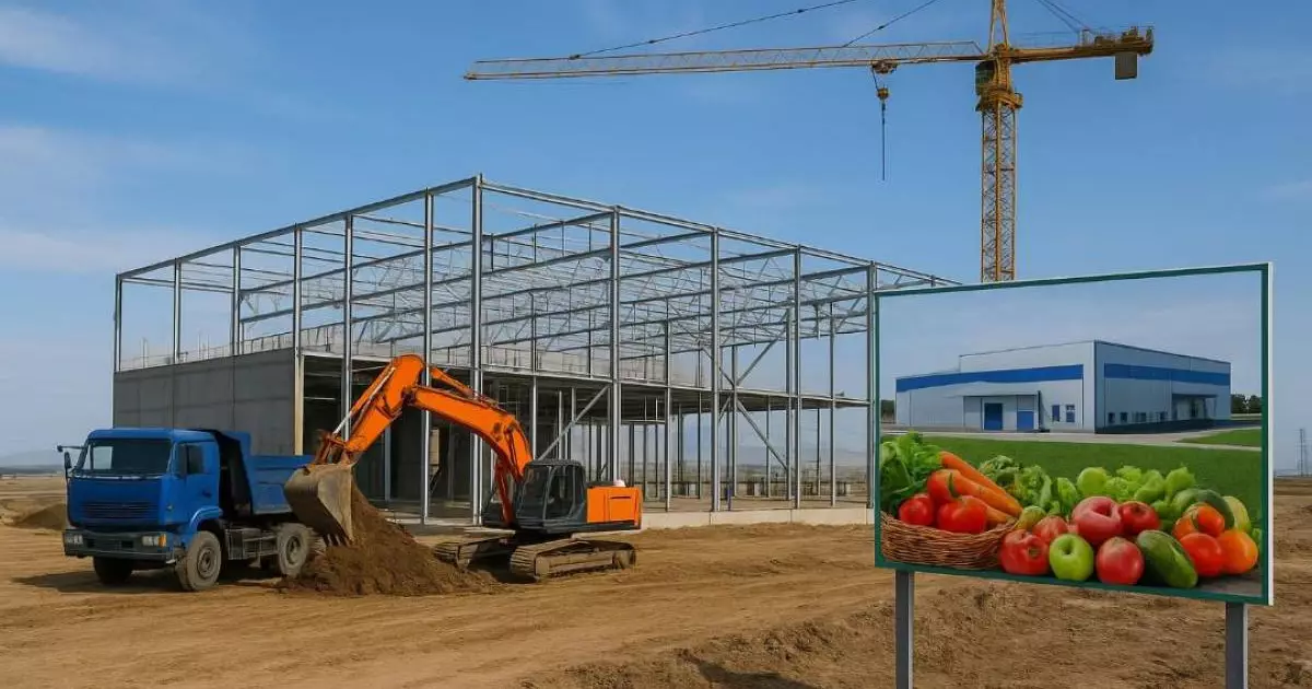  Алматы облысында жылына 70 мың тонна көкөніс пен жеміс өсірілетін зауыт салынады 