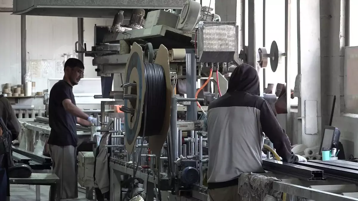 Шағын және орта бизнесті дамытуға айрықша мән беру керек - Мемлекет басшысы