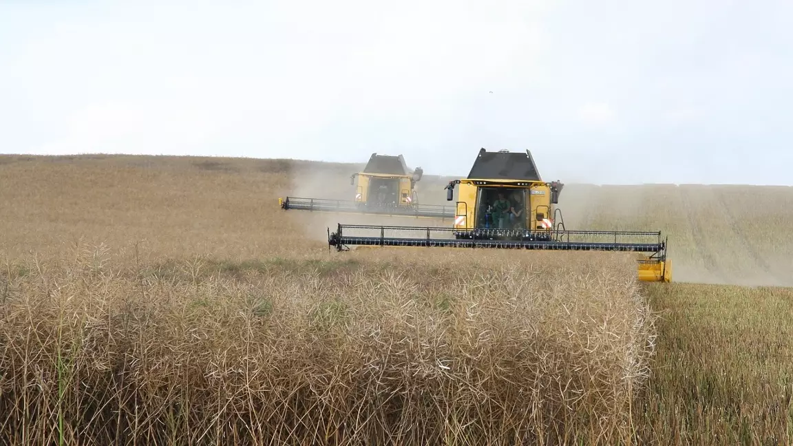 ҚТЖ VS агрофермерлер: шектеулер Қазақстан экономикасын тұралатпай ма?