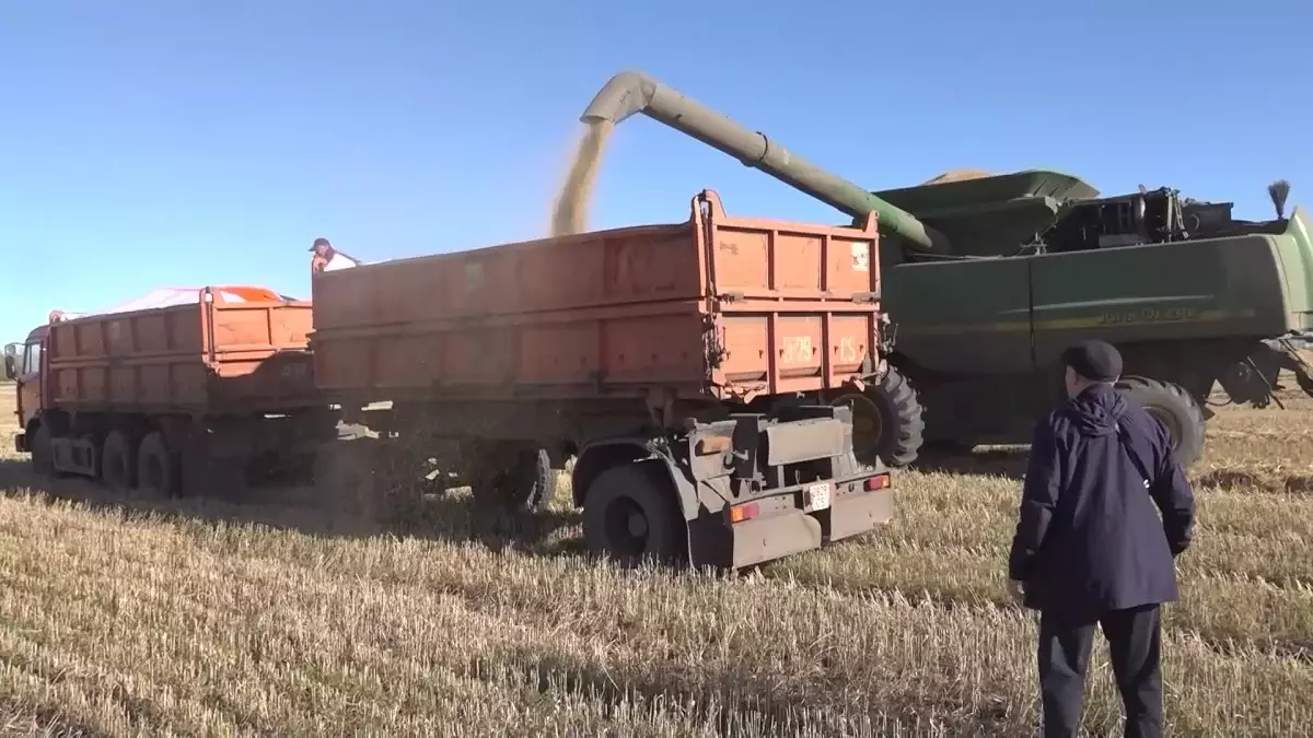 "Бұл – рекордтық көрсеткіш": Президент ауыл шаруашылығына қанша қолдау көрсетілгені туралы