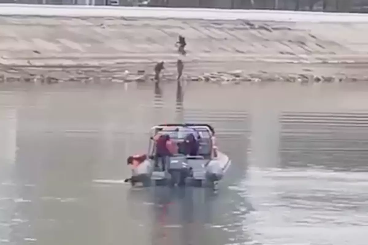 В Атырау спасатели вытащили собаку из реки у Центрального моста