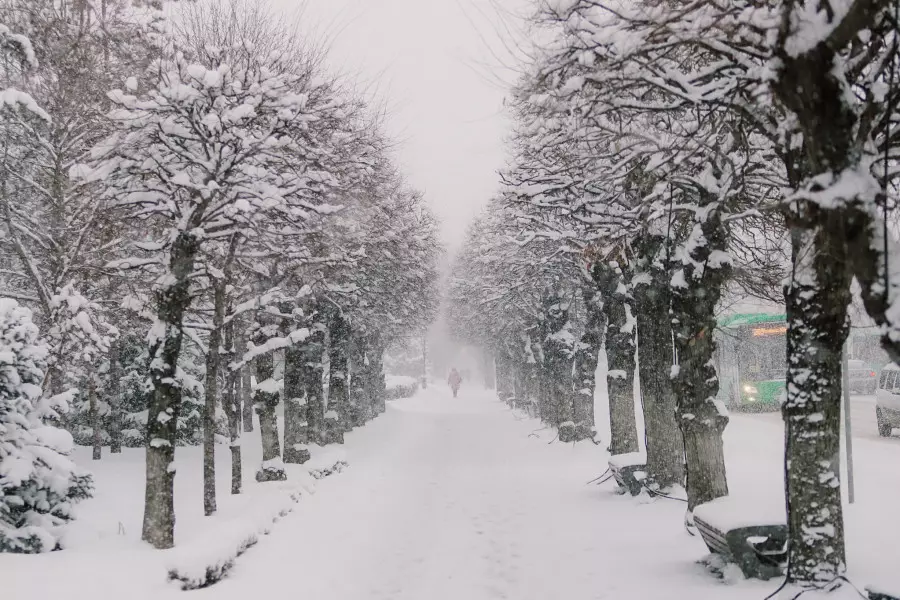 Демалыс күндері ауа райы қандай болады?