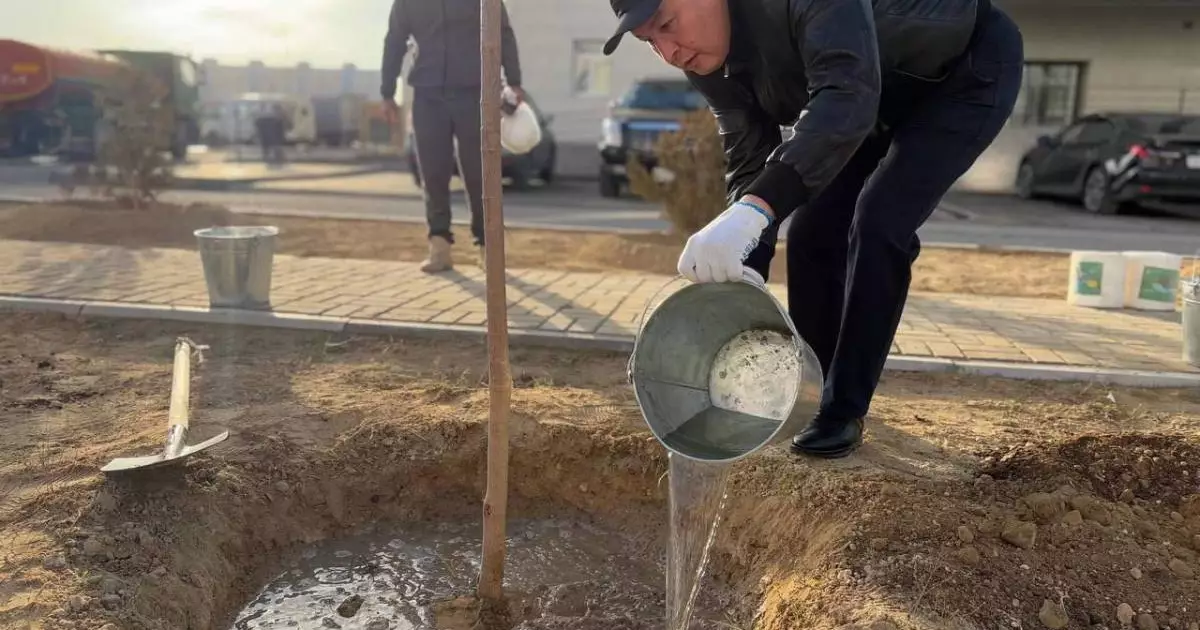  `Таза Қазақстан`: Ақтауда 7 мыңнан астам ағаш отырғызылды 