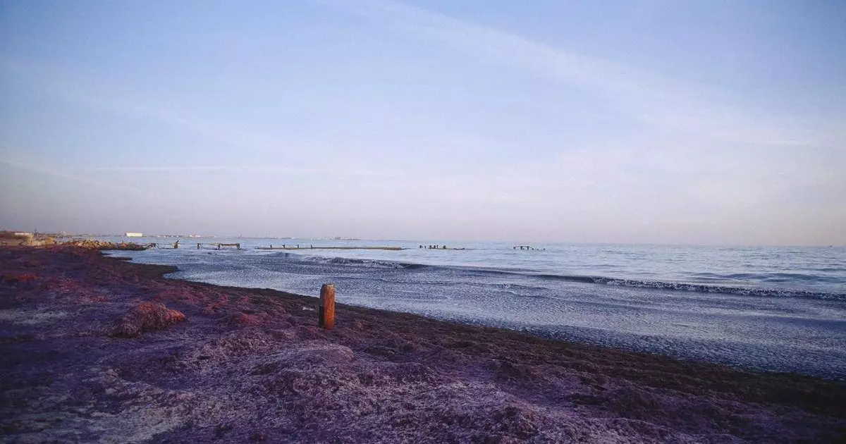  2026 жылы Каспий теңізін тереңдету жұмыстары басталады 