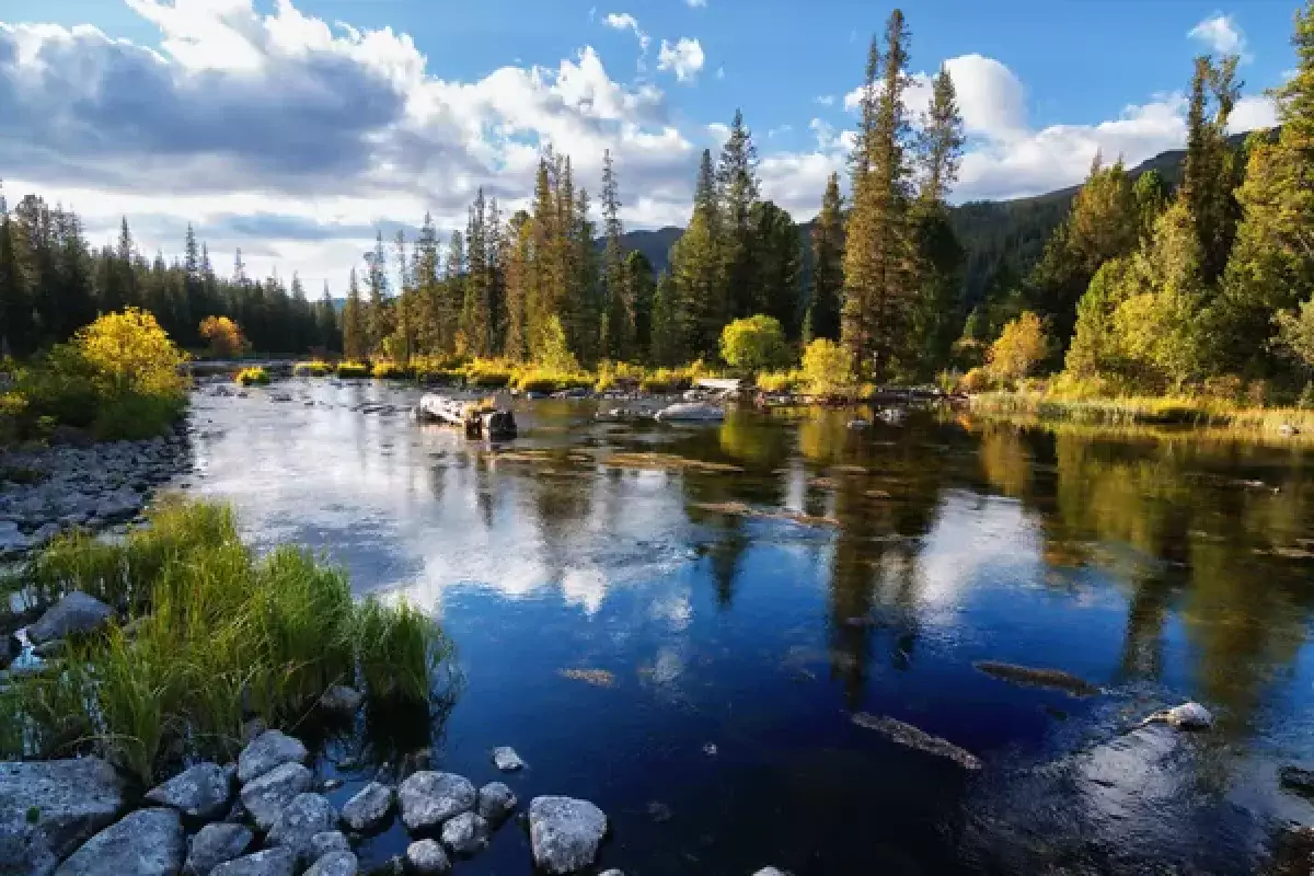 Туристический бум: поток зарубежных путешественников вырос почти втрое