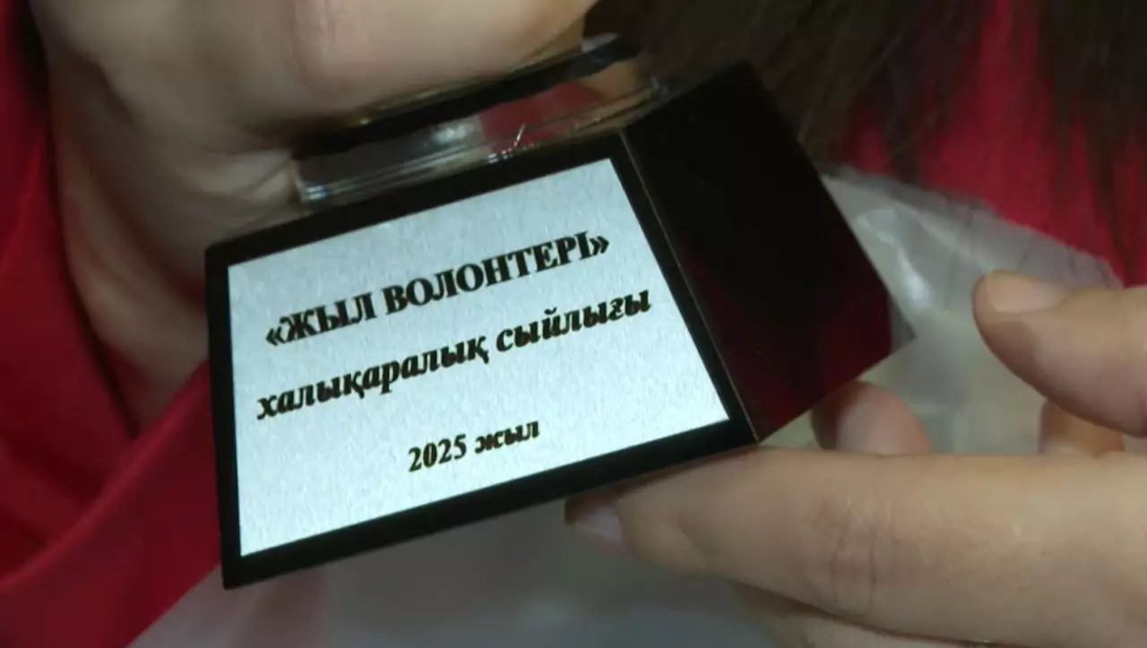 Елімізде волонтерлік ұйымдардың саны артты